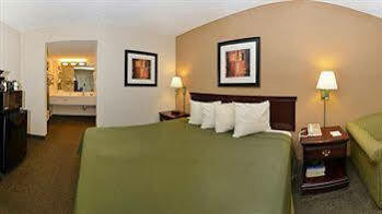 Quality & Atlanta Stone Mountain
